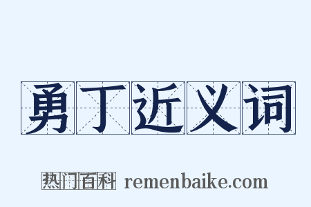 勇丁近义词是什么意思的图片